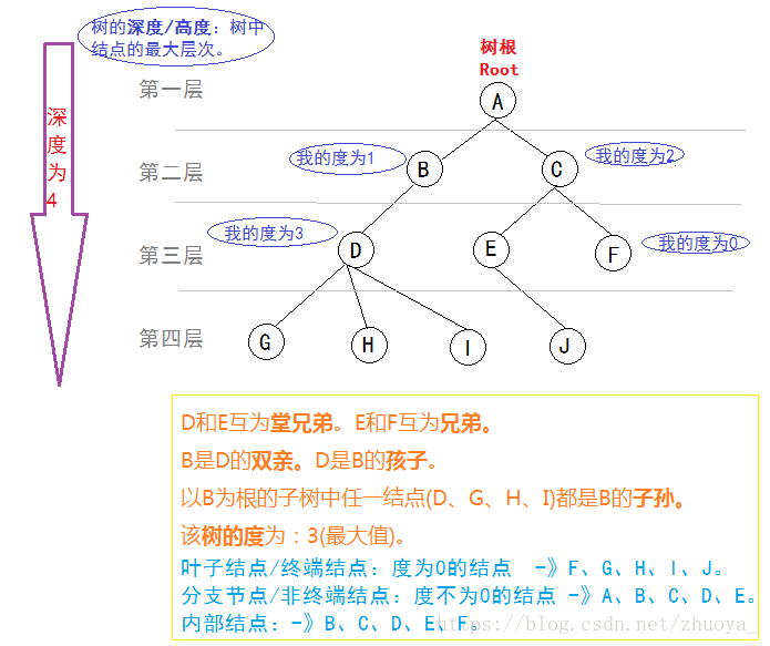 树的术语